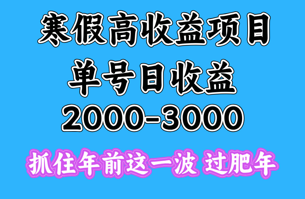 寒假期间一天收益2000-3000+，抓住年前这一波极客联盟-网创项目资源站-副业项目-创业项目-搞钱项目极客联盟