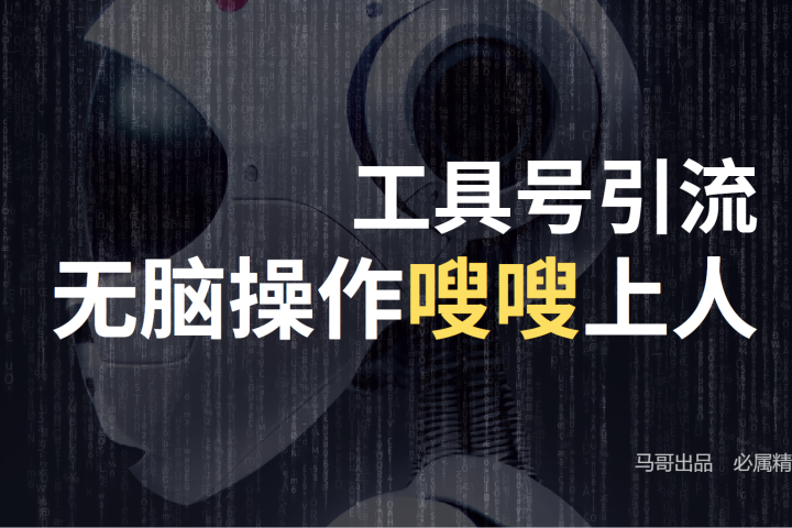 工具号高效引流法，嗖嗖上人，日引1000+，直接搬运，无脑操作极客联盟-网创项目资源站-副业项目-创业项目-搞钱项目极客联盟