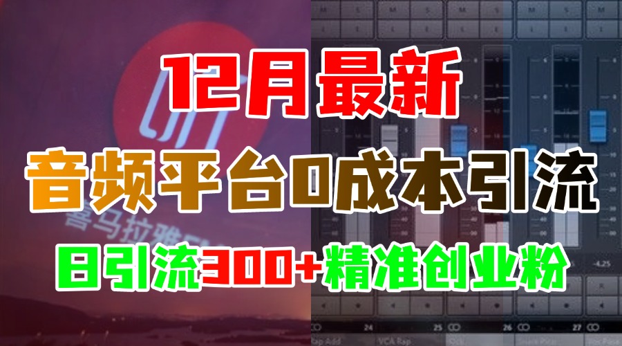 12月最新：音频平台0成本引流，日引300+精准创业粉极客联盟-网创项目资源站-副业项目-创业项目-搞钱项目极客联盟