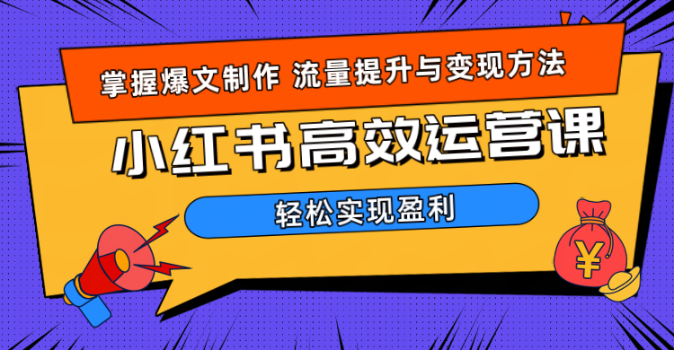 价值980小红书运营操作指南极客联盟-网创项目资源站-副业项目-创业项目-搞钱项目极客联盟