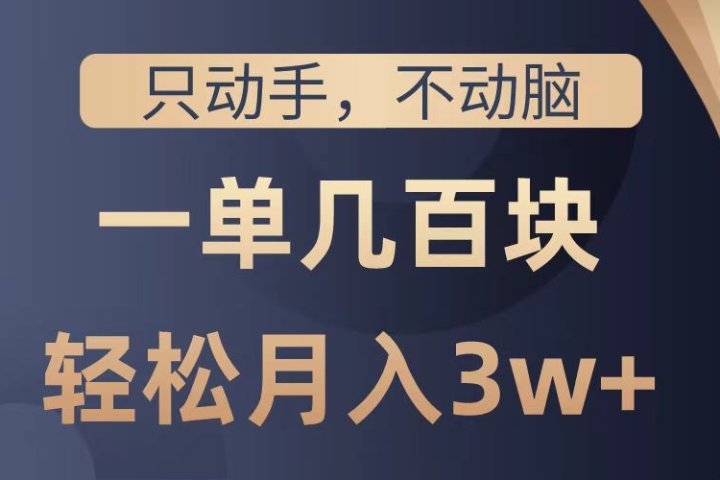 只动手不动脑，一单几百块，轻松月入2w+，看完就能直接操作，详细教程极客联盟-网创项目资源站-副业项目-创业项目-搞钱项目极客联盟