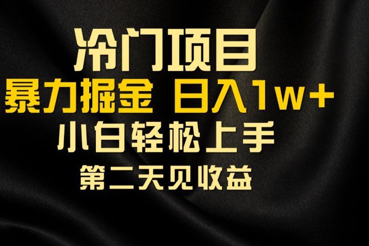 冷门项目，靠一款软件日入10000+暴力掘金小白轻松上手，第二天见收益极客联盟-网创项目资源站-副业项目-创业项目-搞钱项目极客联盟