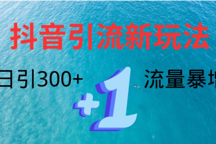 创业粉高效引流，抖音工具号玩法4.0，日引300+极客联盟-网创项目资源站-副业项目-创业项目-搞钱项目极客联盟