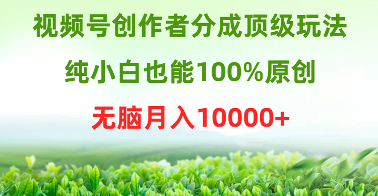 视频号创作者分成顶级玩法，纯小白也能100%原创，无脑月入10000+极客联盟-网创项目资源站-副业项目-创业项目-搞钱项目极客联盟