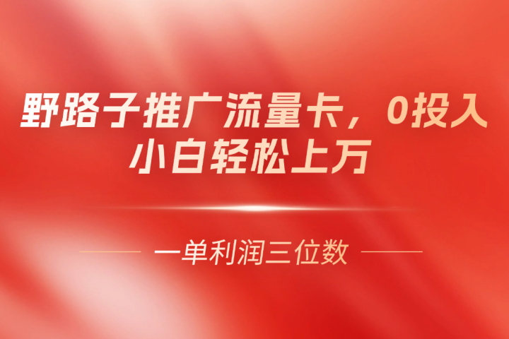 野路子推广流量卡，一单利润上百，0投入，小白月利润上万极客联盟-网创项目资源站-副业项目-创业项目-搞钱项目极客联盟