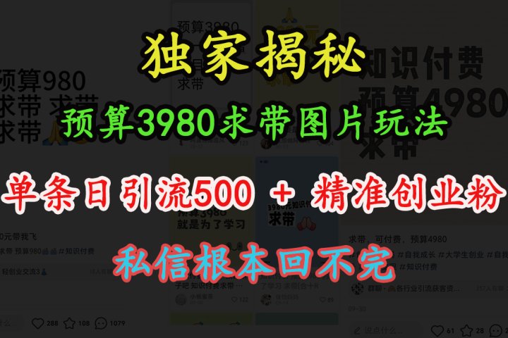 “小红书”预算3980求带 图片玩法，单条日引流500+精准创业粉，私信根本回不完极客联盟-网创项目资源站-副业项目-创业项目-搞钱项目极客联盟