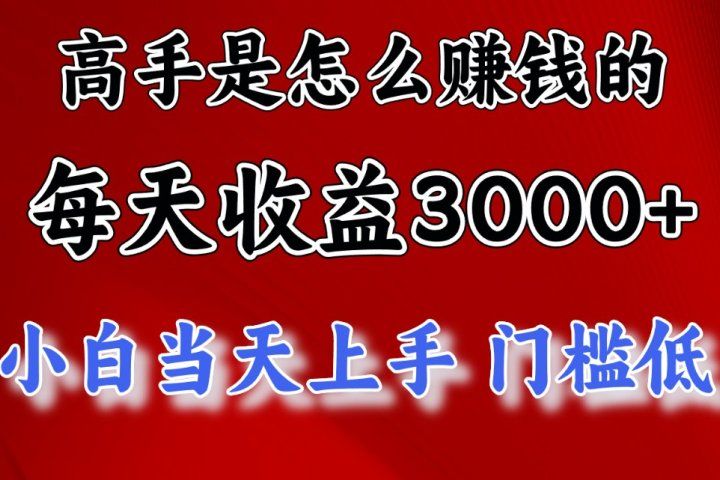 高手是怎么赚钱的，一天收益3000+ 这是穷人逆风翻盘的一个项目，非常稳极客联盟-网创项目资源站-副业项目-创业项目-搞钱项目极客联盟
