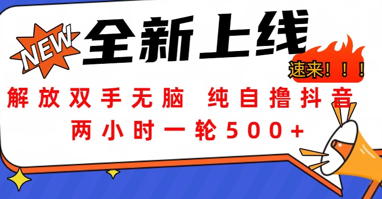 解放双手无脑 纯自撸抖音 两小时一轮500+极客联盟-网创项目资源站-副业项目-创业项目-搞钱项目极客联盟