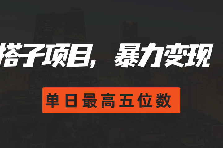 搭子项目，暴力变现，单日最高破五位数极客联盟-网创项目资源站-副业项目-创业项目-搞钱项目极客联盟