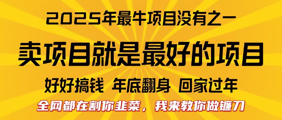 全网都在割你韭菜，我来教你做镰刀。卖项目就是最好的项目，2025年最牛互联网项目极客联盟-网创项目资源站-副业项目-创业项目-搞钱项目极客联盟