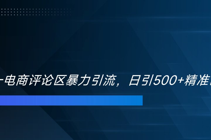 双十一电商评论区暴力引流，日引500+精准创业粉！！！极客联盟-网创项目资源站-副业项目-创业项目-搞钱项目极客联盟