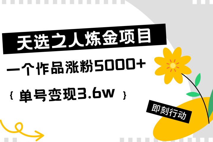 天选之人炼金项目，一个作品涨粉5000+，单号变现3.6w极客联盟-网创项目资源站-副业项目-创业项目-搞钱项目极客联盟
