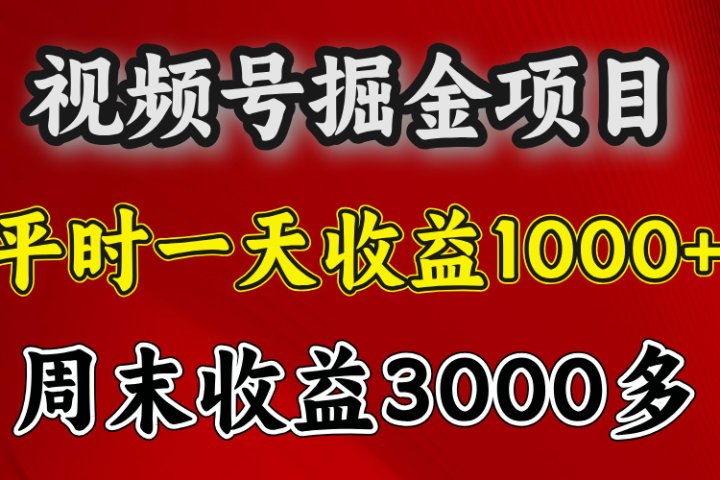 官方项目，一周一结算，平时收益一天1000左右，周六周日收益还高极客联盟-网创项目资源站-副业项目-创业项目-搞钱项目极客联盟