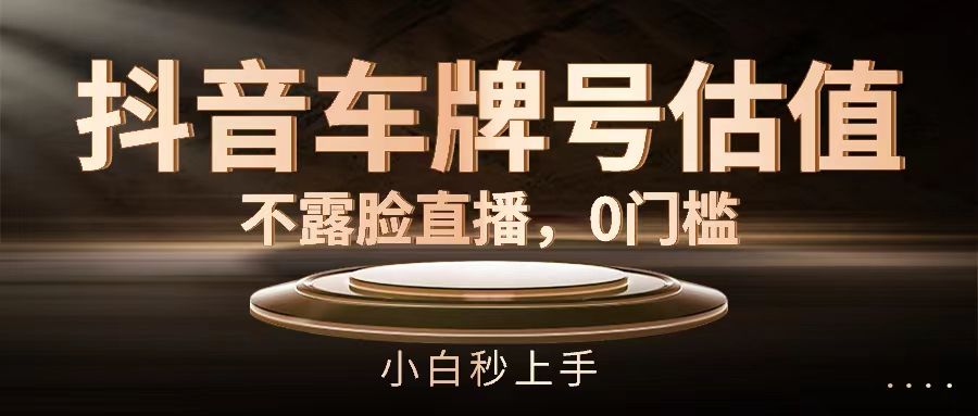 抖音车牌号估值，不露脸直播，0门槛，小白秒上手极客联盟-网创项目资源站-副业项目-创业项目-搞钱项目极客联盟