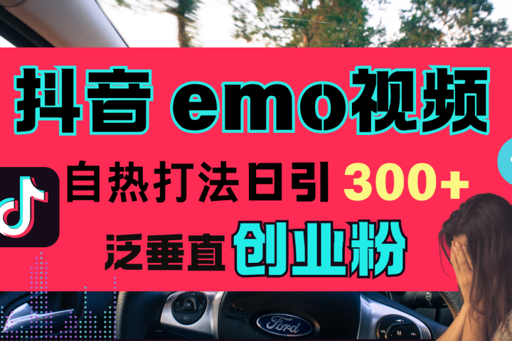 抖音“EMO视频”自热流打法，日引300+泛垂直创业粉极客联盟-网创项目资源站-副业项目-创业项目-搞钱项目极客联盟
