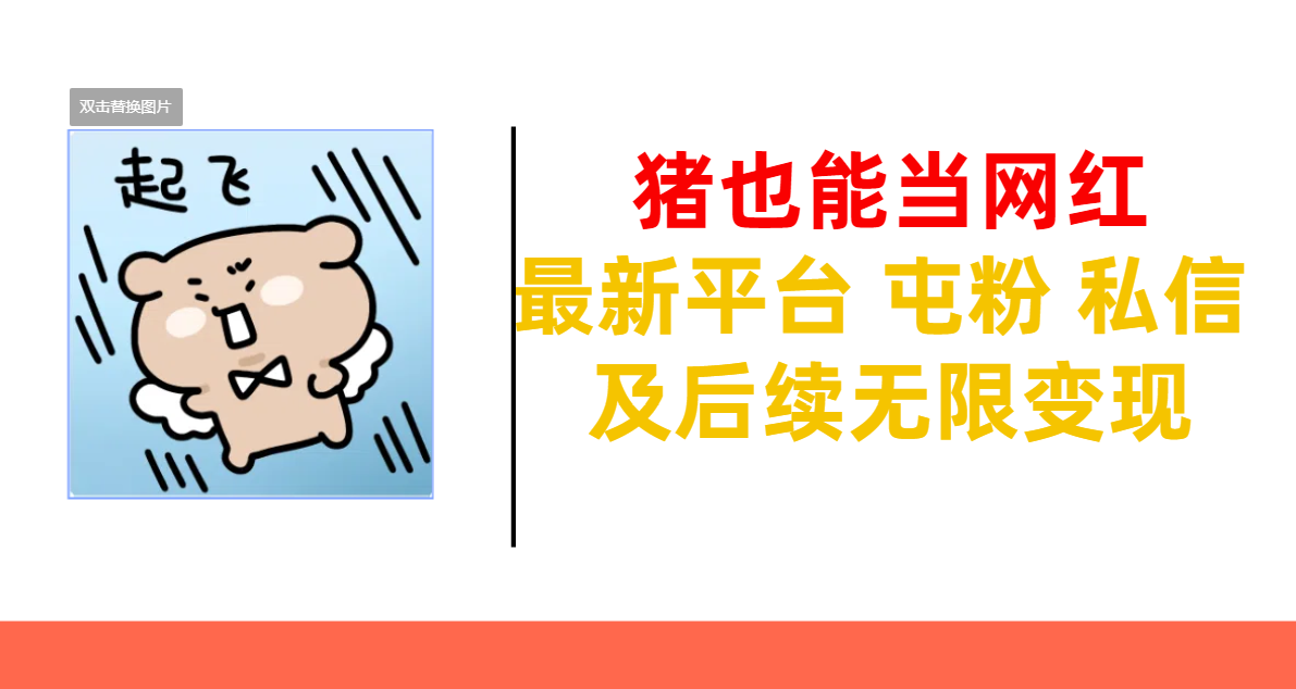 猪也能当网红-最新平台 屯粉 交流 私信 及后续无限变现极客联盟-网创项目资源站-副业项目-创业项目-搞钱项目极客联盟