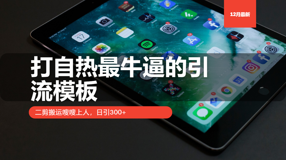 打自热最牛逼的引流模板，日引300+，二剪搬运嗖嗖上人极客联盟-网创项目资源站-副业项目-创业项目-搞钱项目极客联盟