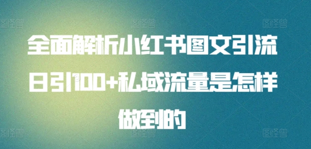 暴力引流 小红书图文引流日引100私域全面拆解【打粉人必看】极客联盟-网创项目资源站-副业项目-创业项目-搞钱项目极客联盟