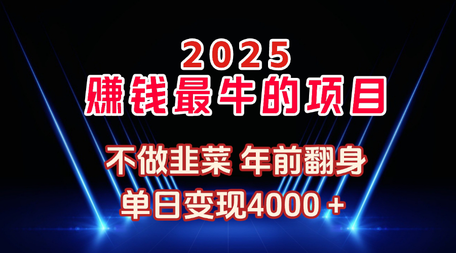 2025年赚钱最牛的项目 不做韭菜 年前翻身极客联盟-网创项目资源站-副业项目-创业项目-搞钱项目极客联盟