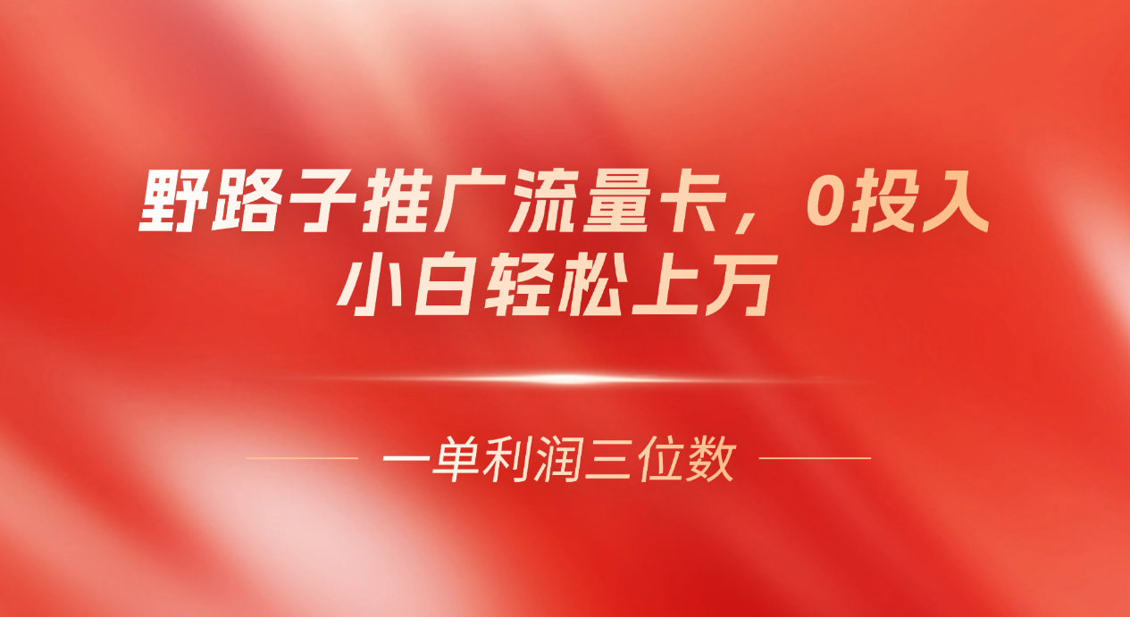 图片[1]极客联盟-网创项目资源站-副业项目-创业项目-搞钱项目野路子推广流量卡，一单利润上百，0投入，小白月利润上万极客联盟-网创项目资源站-副业项目-创业项目-搞钱项目极客联盟