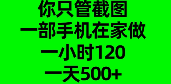 你只管截图，一部手机在家做，一小时120，一天500+极客联盟-网创项目资源站-副业项目-创业项目-搞钱项目极客联盟