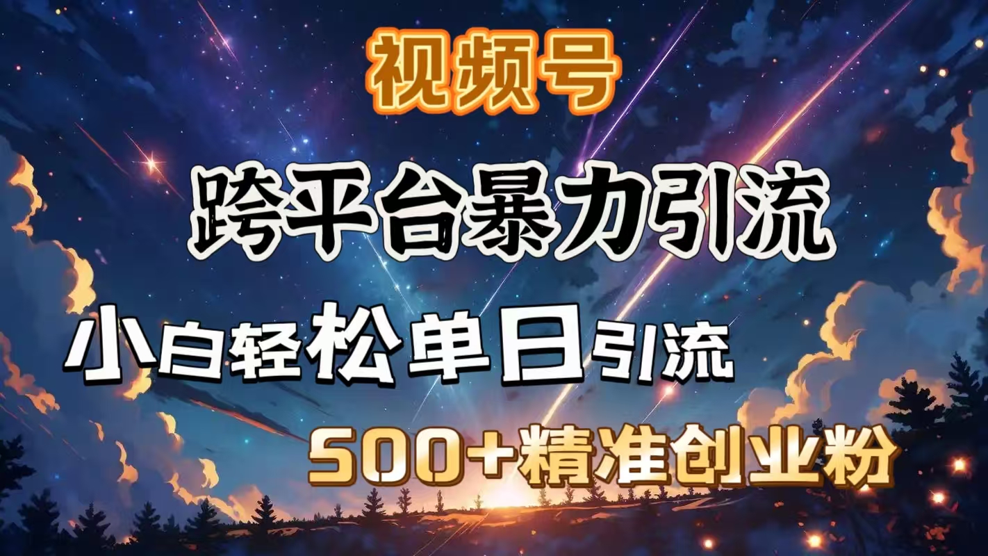 视频号跨平台暴力引流，小白轻松单日引流500＋精准创业粉极客联盟-网创项目资源站-副业项目-创业项目-搞钱项目极客联盟