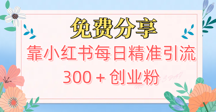 2025最新引流！靠小红书每日精准引流300＋创业粉极客联盟-网创项目资源站-副业项目-创业项目-搞钱项目极客联盟