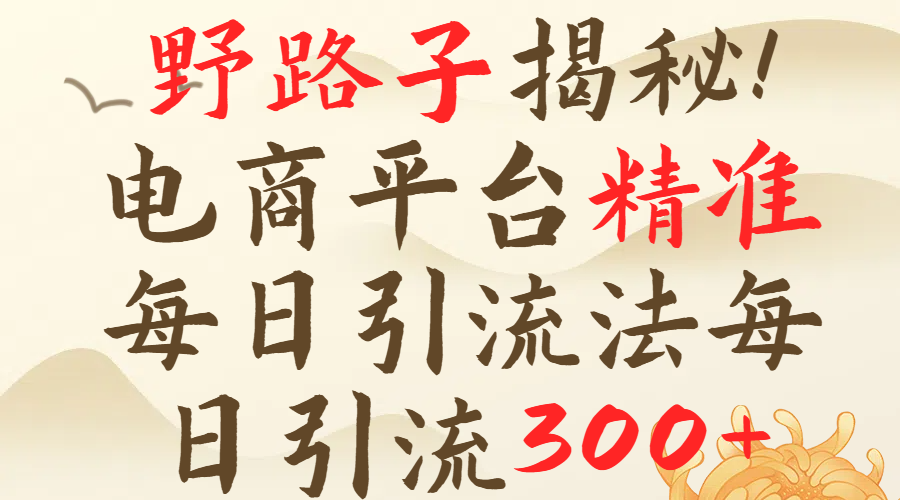 野路子揭秘！电商平台每日引流300＋独家揭秘详细流程！极客联盟-网创项目资源站-副业项目-创业项目-搞钱项目极客联盟