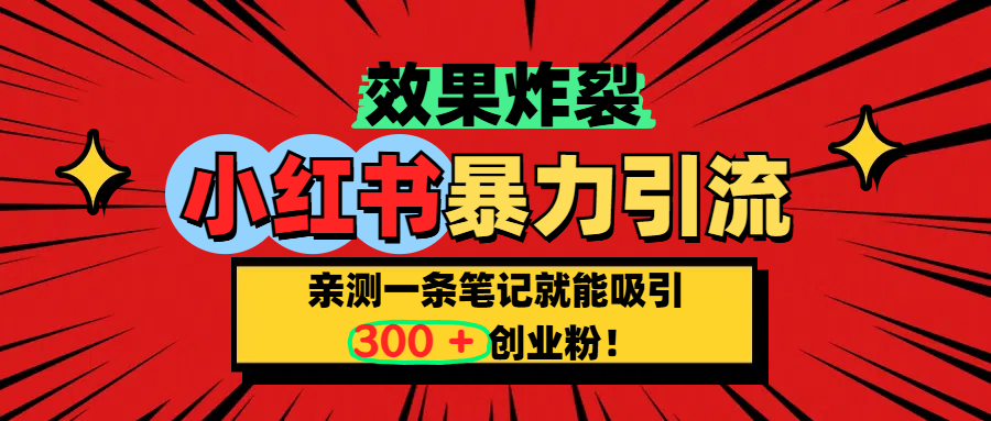 小红书炸裂玩法，亲测一条笔记就能吸引300+精准创业粉！极客联盟-网创项目资源站-副业项目-创业项目-搞钱项目极客联盟