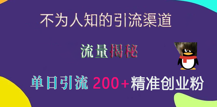 不为人知的引流渠道，流量揭秘，实测单日引流200+精准创业粉极客联盟-网创项目资源站-副业项目-创业项目-搞钱项目极客联盟
