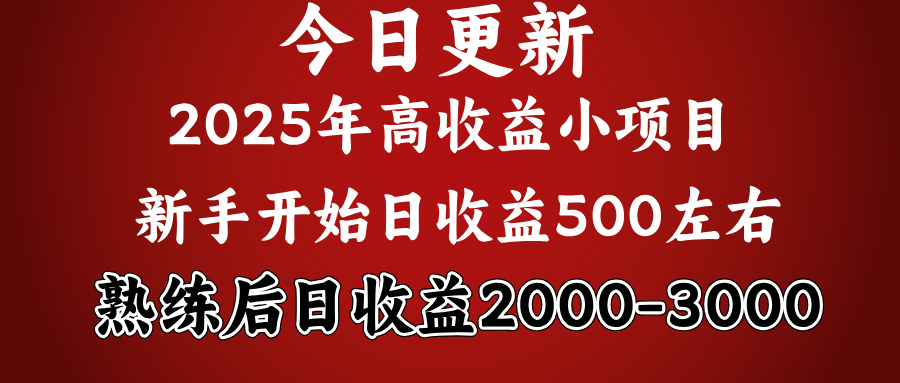 2025开年好项目，新手日收益500+ 熟练掌握后，日收益平均2000多极客联盟-网创项目资源站-副业项目-创业项目-搞钱项目极客联盟