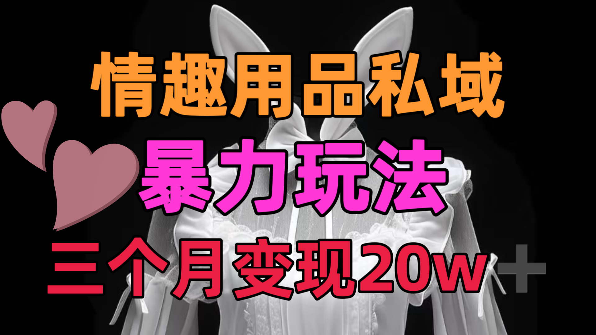 情趣用品私域，25年最新暴力玩法，三个月变现20w➕极客联盟-网创项目资源站-副业项目-创业项目-搞钱项目极客联盟