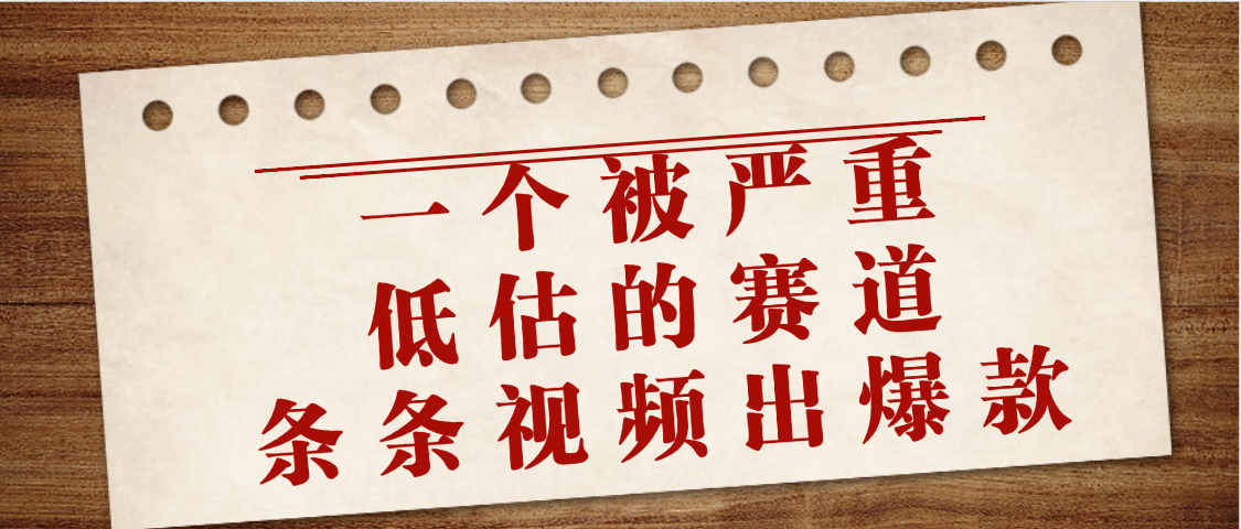 一个被严重低估的赛道，条条视频出爆款，一个月变现3万+极客联盟-网创项目资源站-副业项目-创业项目-搞钱项目极客联盟