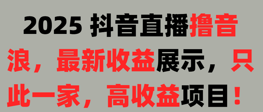 2025 抖音直播撸音浪，最新收益展示，只此一家，高收益项目！极客联盟-网创项目资源站-副业项目-创业项目-搞钱项目极客联盟