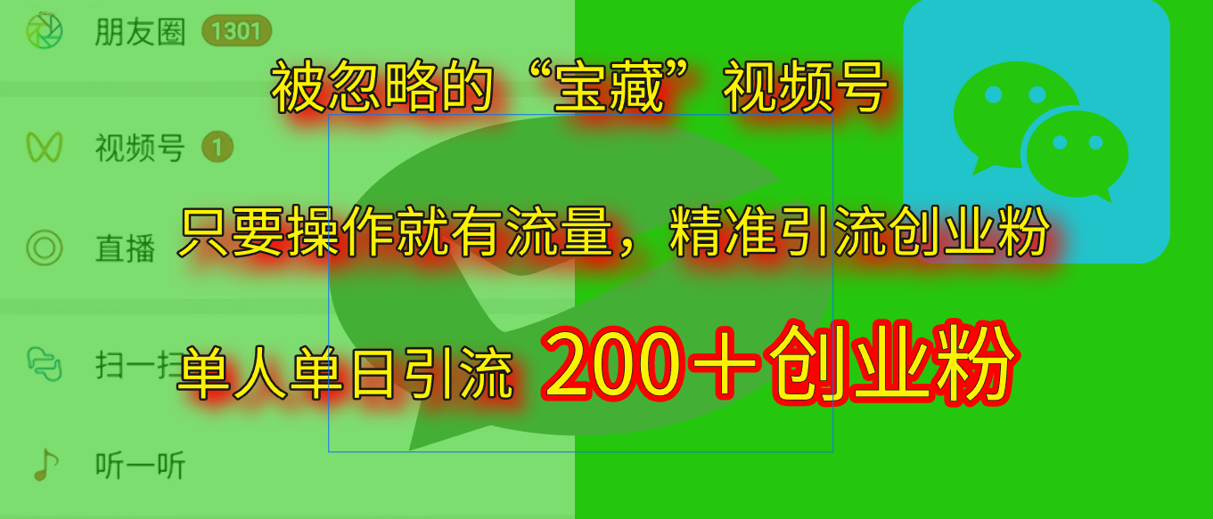 2025.5月最新被忽略的“宝藏”视频号，精准日引流200+极客联盟-网创项目资源站-副业项目-创业项目-搞钱项目极客联盟
