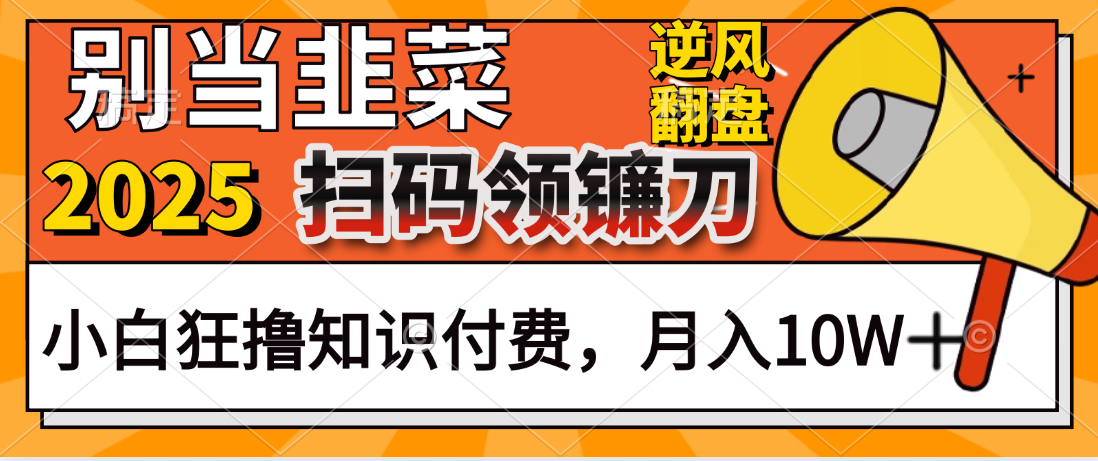 2025别当韭菜！扫码领镰刀！小白狂撸知识付费月入10W+极客联盟-网创项目资源站-副业项目-创业项目-搞钱项目极客联盟
