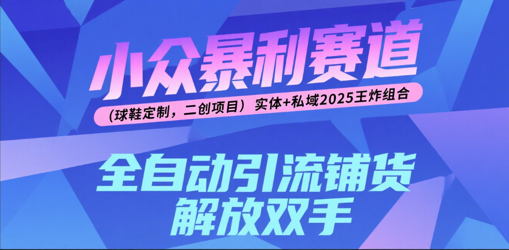 楠—小众暴利赛道（球鞋定制，二创项目）实体+私域2025王炸组合极客联盟-网创项目资源站-副业项目-创业项目-搞钱项目极客联盟