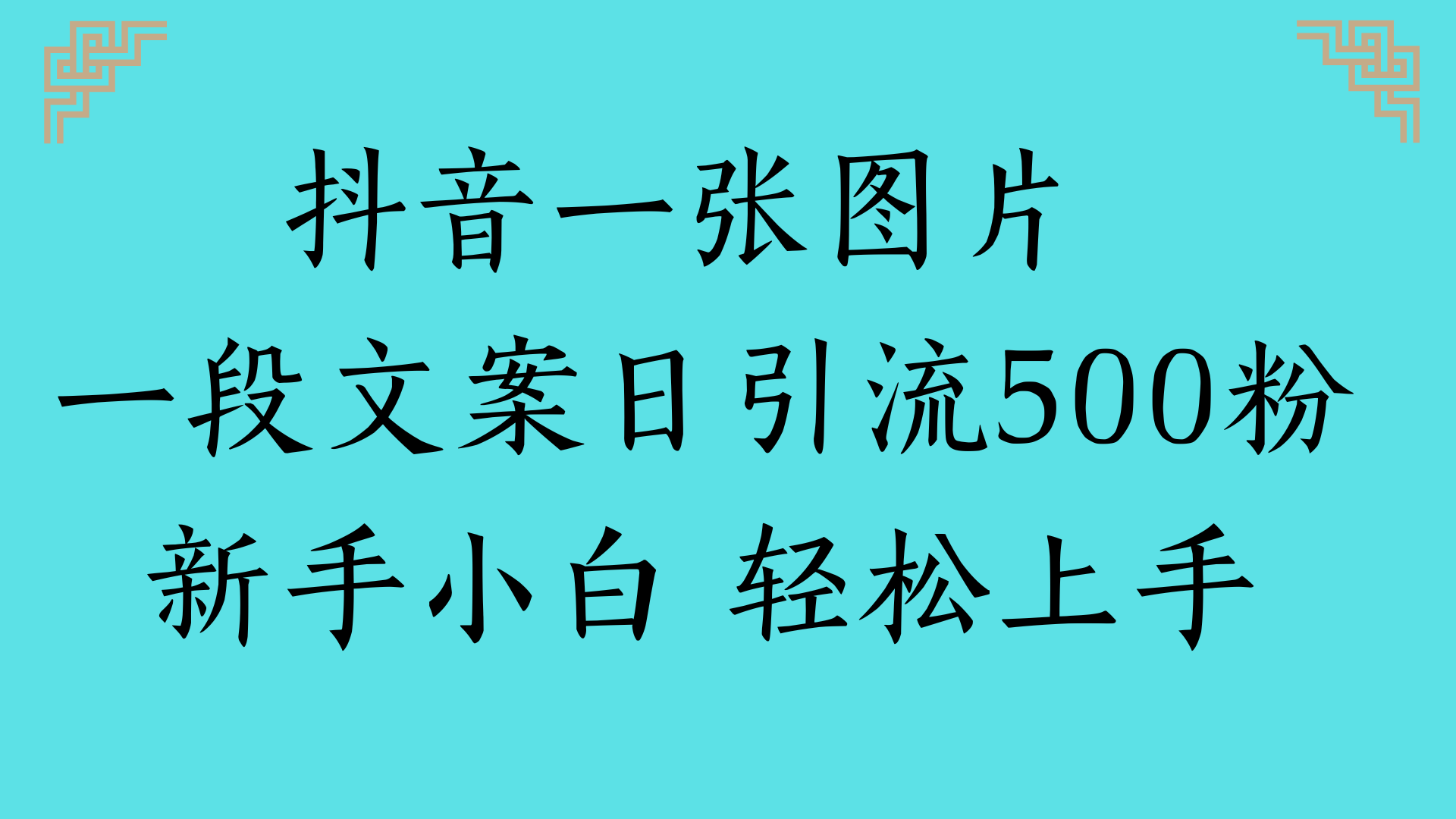 抖音一张图片 一段文案日引流500粉新手小白 轻松上手极客联盟-网创项目资源站-副业项目-创业项目-搞钱项目极客联盟