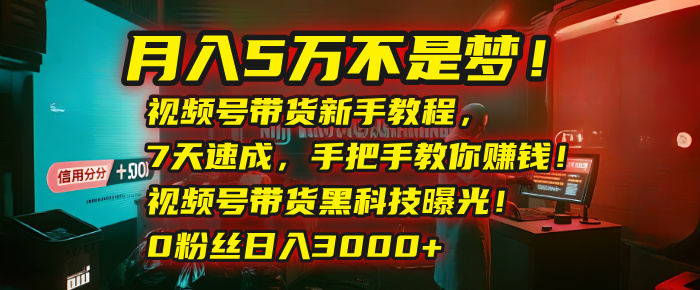 月入5万不是梦！视频号带货新手教程，7天速成，手把手教你赚钱！视频号带货黑科技曝光！0粉丝日入3000+极客联盟-网创项目资源站-副业项目-创业项目-搞钱项目极客联盟