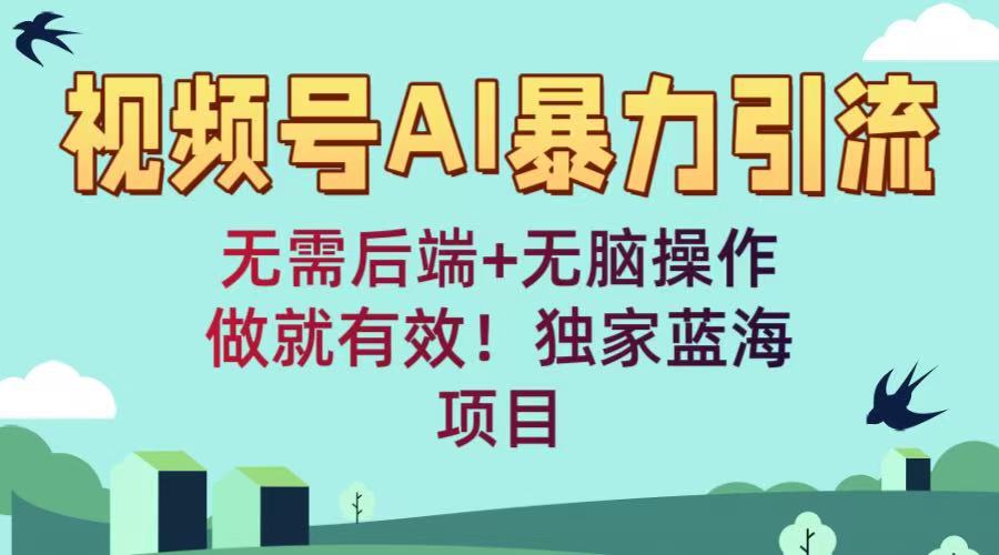 视频号AI暴力引流：无需后端+无脑操作，做就有效！独家蓝海项目极客联盟-网创项目资源站-副业项目-创业项目-搞钱项目极客联盟