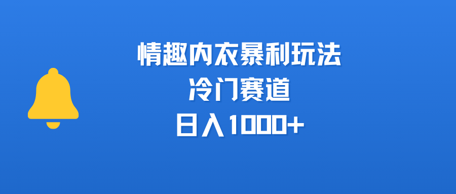 情趣内衣暴利玩法，冷门赛道，日入1000+极客联盟-网创项目资源站-副业项目-创业项目-搞钱项目极客联盟