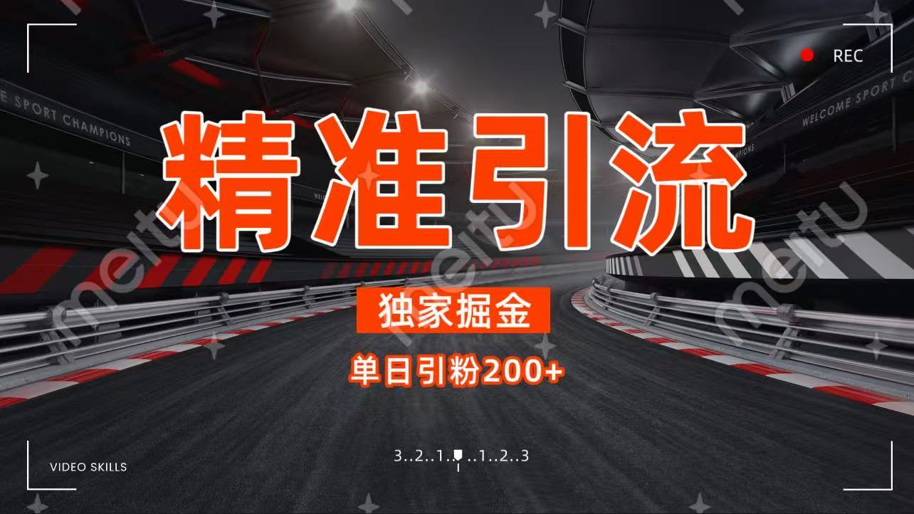 独家野路子精准引流 每日200+极客联盟-网创项目资源站-副业项目-创业项目-搞钱项目极客联盟