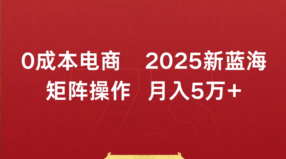 0成本电商2025新蓝海矩阵操作 月入5万+极客联盟-网创项目资源站-副业项目-创业项目-搞钱项目极客联盟